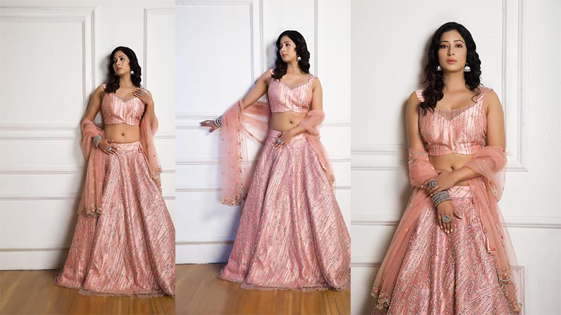 Niharica Raizada surprised the fans with her beauty in lehenga, it is difficult to remove eyes