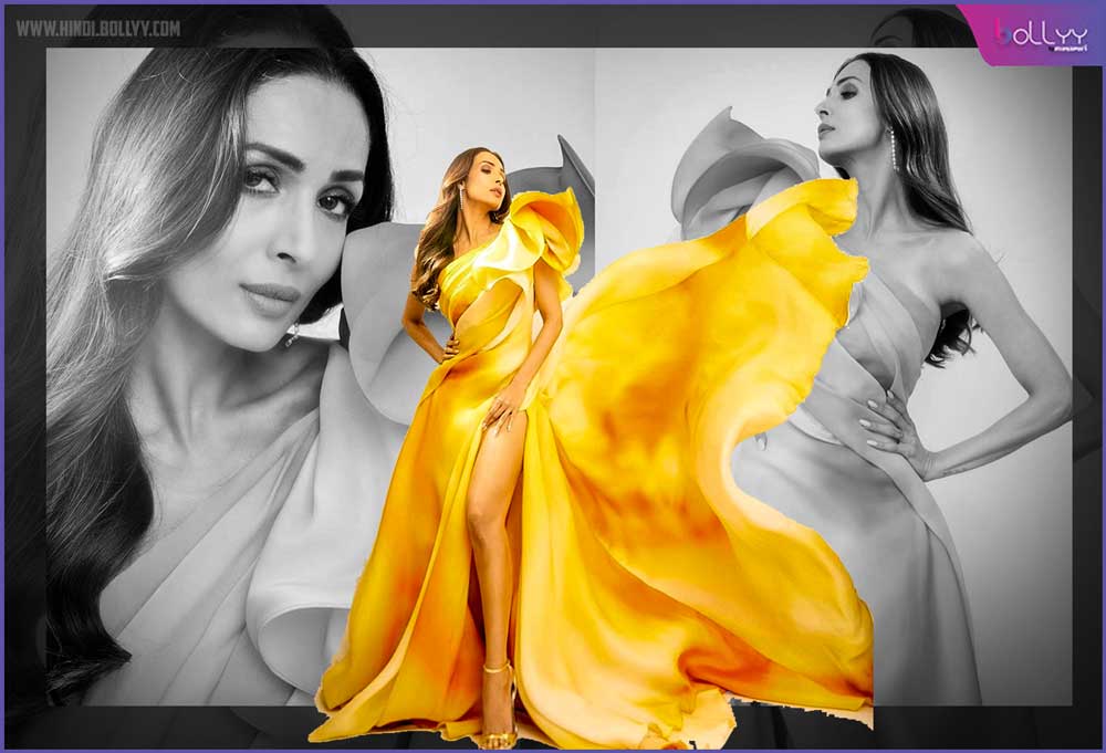 Malaika Arora Photo: Actress looks sunflower in sunny shade outfit