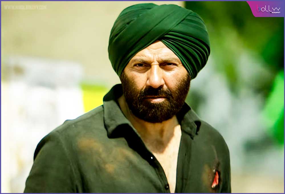 Sunny Deol Films: Apart from Gadar 2, these films of the actor have been famous, Thriller Role is the specialty of the actor!