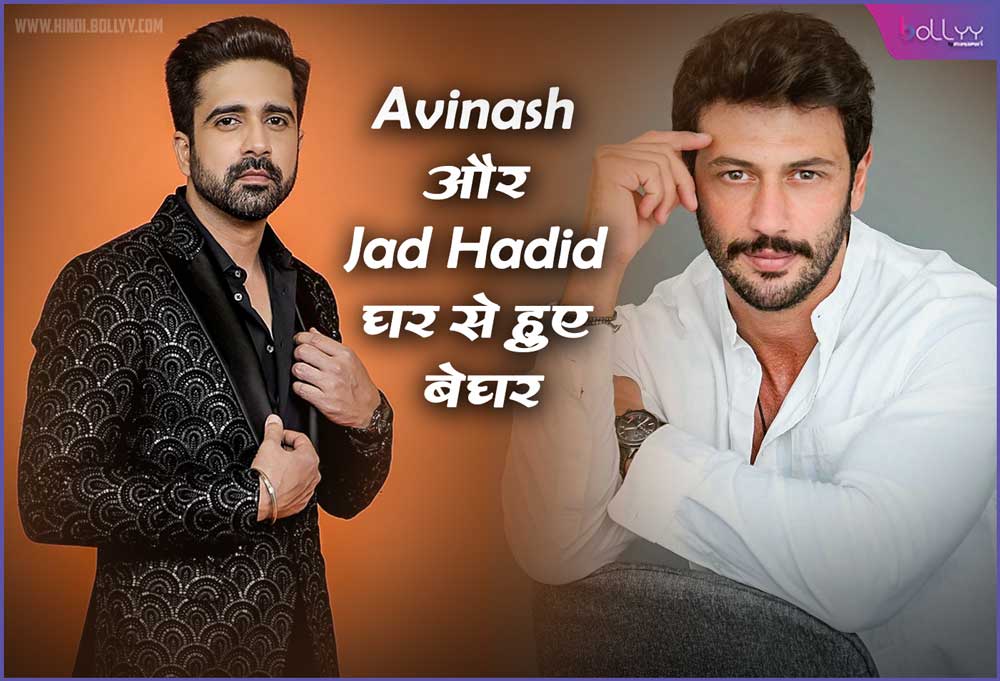 Avinash Sachdev: And Jad Hadid evicted from the house, Jiya Shankar apologized to this contestant!